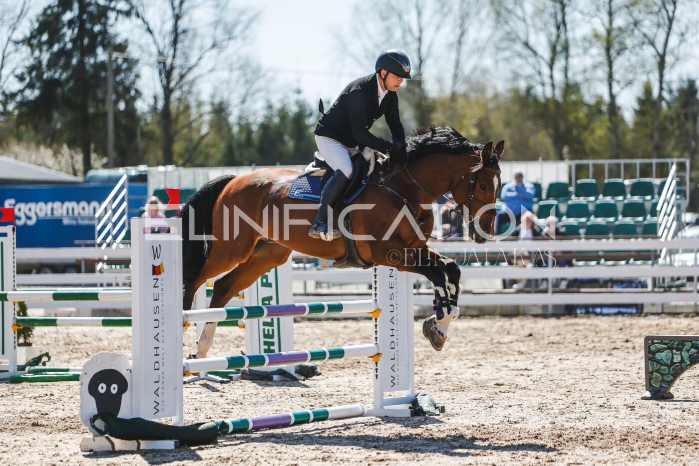 Gramina_Volber_2026_100_0884