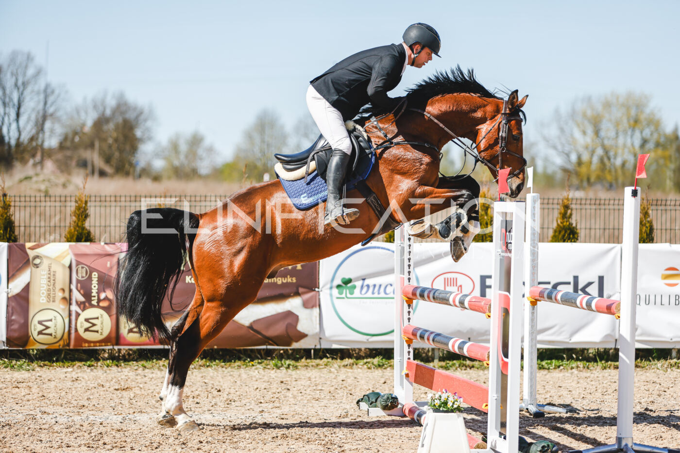 Gramina_Volber_2026_100_0886