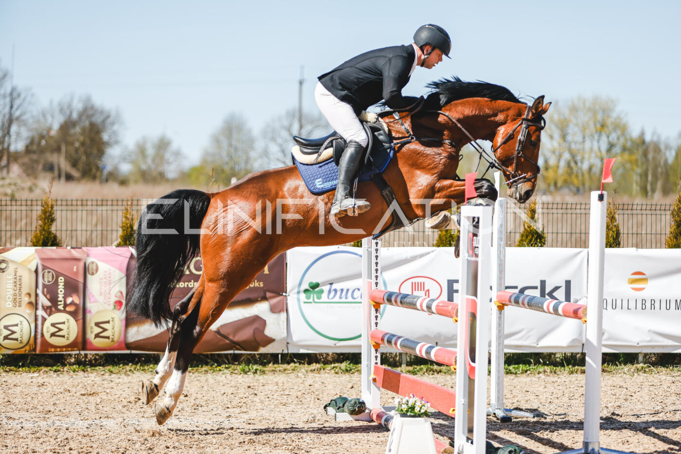 Gramina_Volber_2026_100_0887