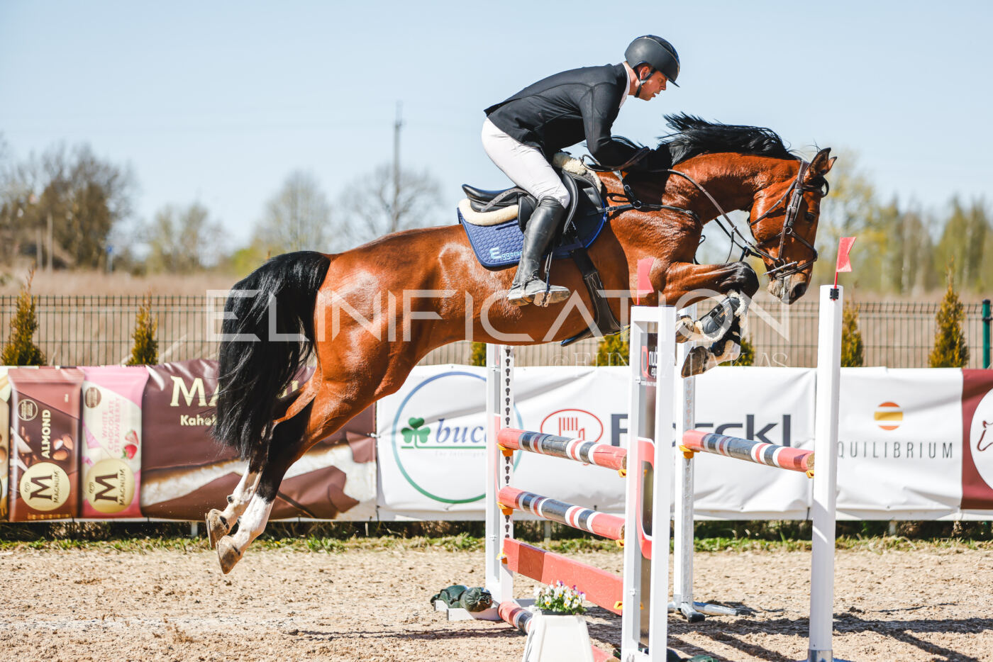 Gramina_Volber_2026_100_0888
