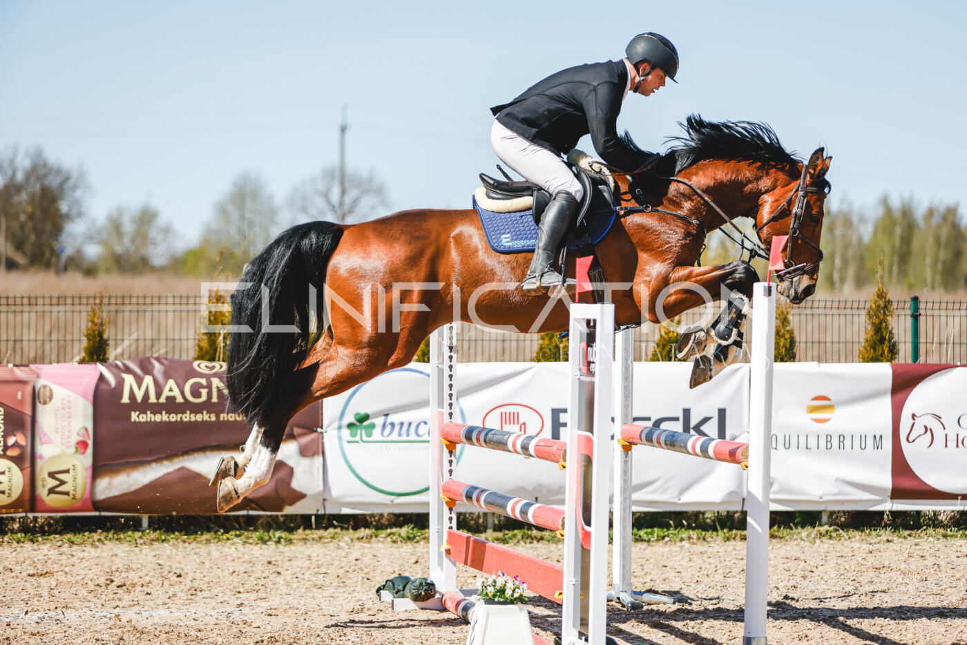 Gramina_Volber_2026_100_0889