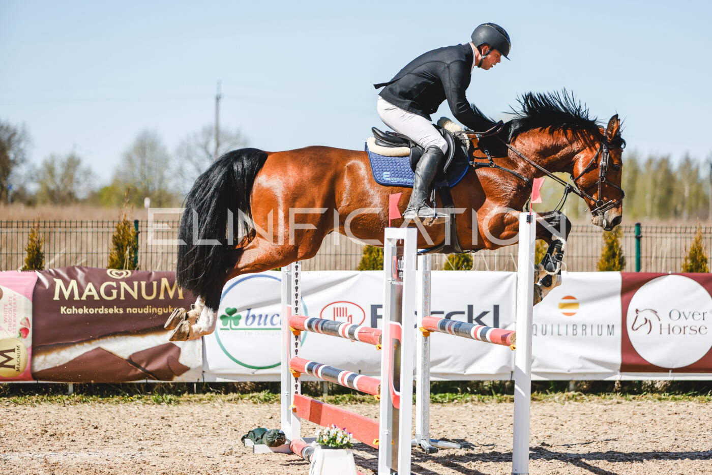 Gramina_Volber_2026_100_0890