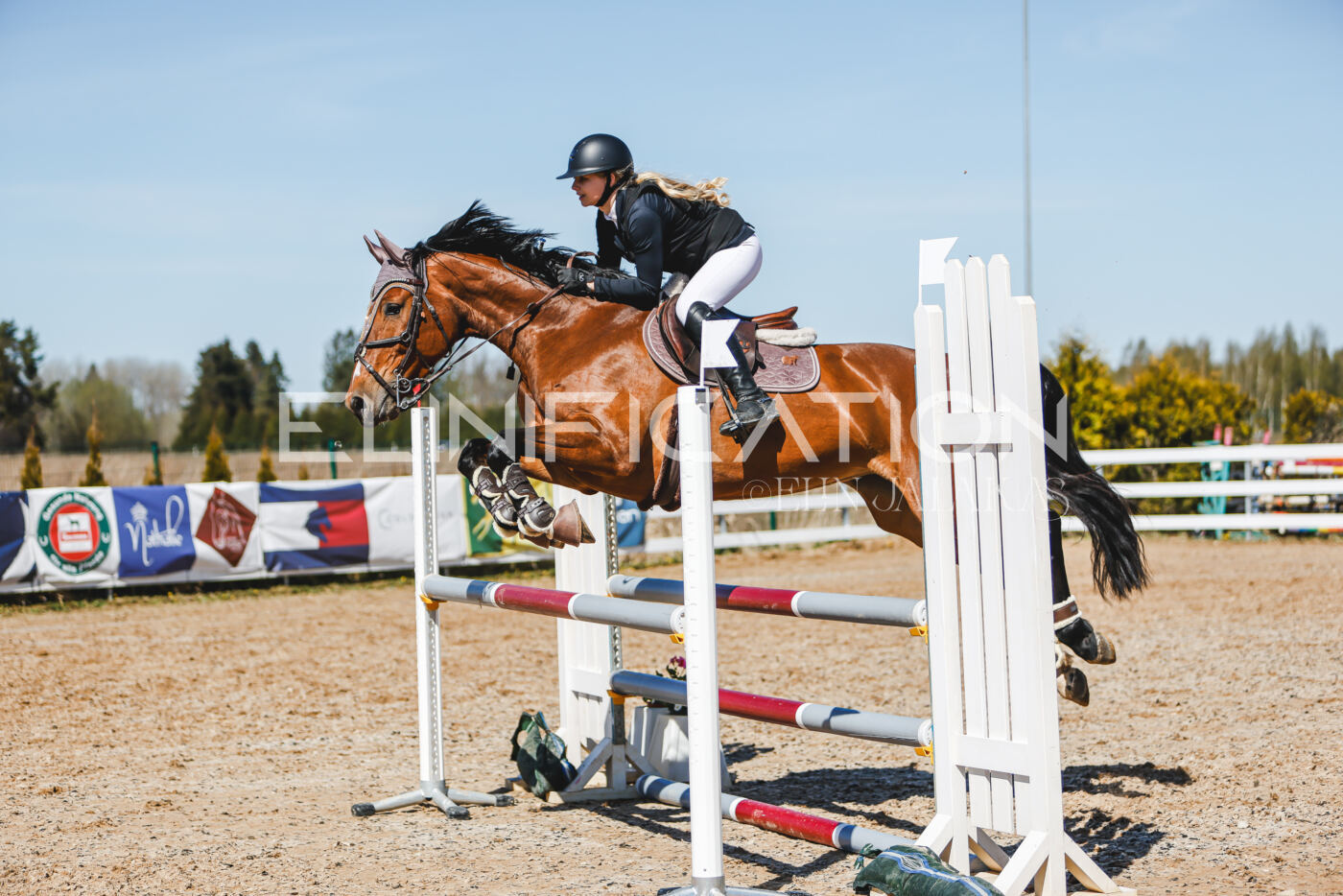 Gramina_Volber_2026_100_0909
