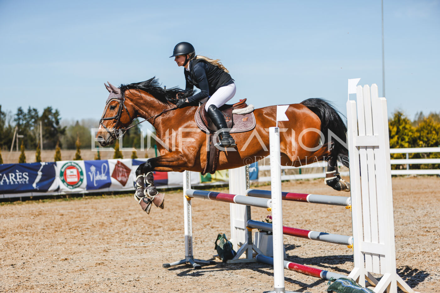 Gramina_Volber_2026_100_0911