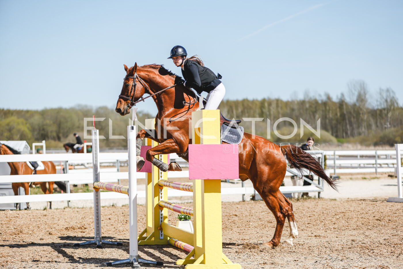 Gramina_Volber_2026_100_0930
