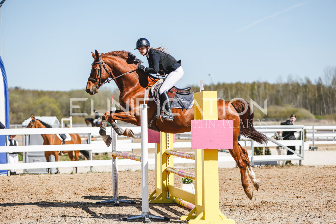 Gramina_Volber_2026_100_0932