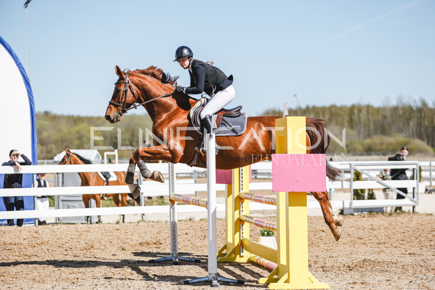 Gramina_Volber_2026_100_0933