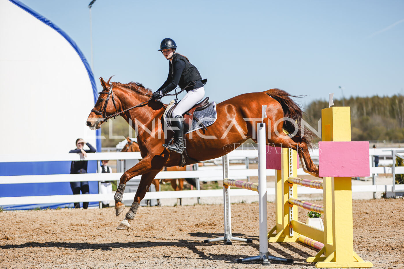 Gramina_Volber_2026_100_0936