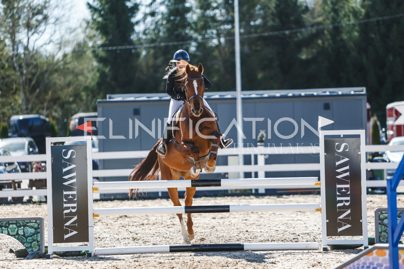 Gramina_Volber_2026_100_0942