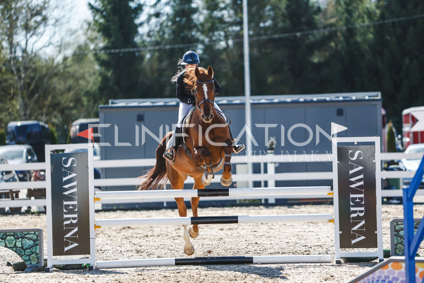 Gramina_Volber_2026_100_0943