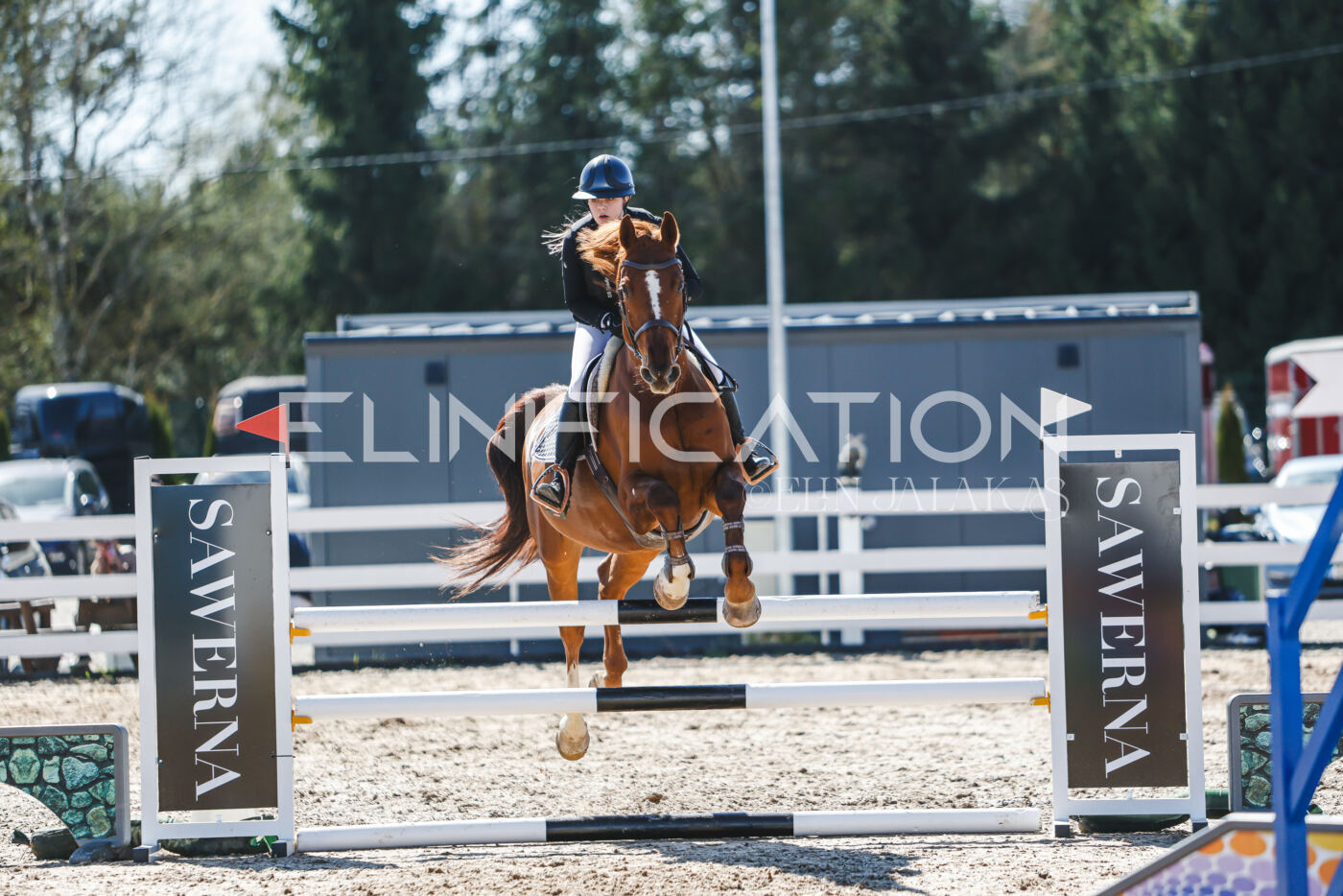 Gramina_Volber_2026_100_0944