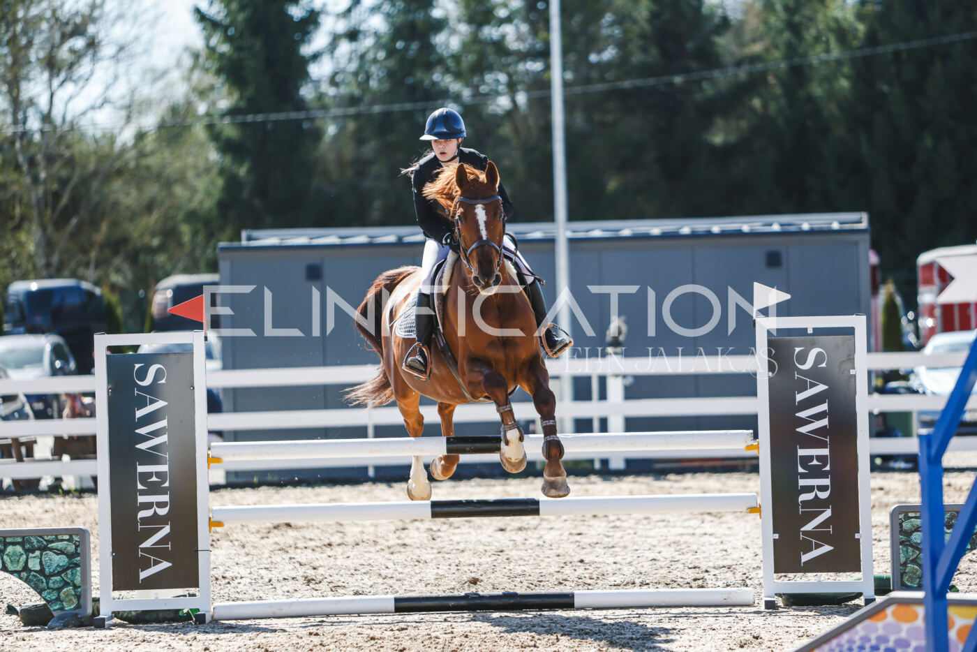Gramina_Volber_2026_100_0945