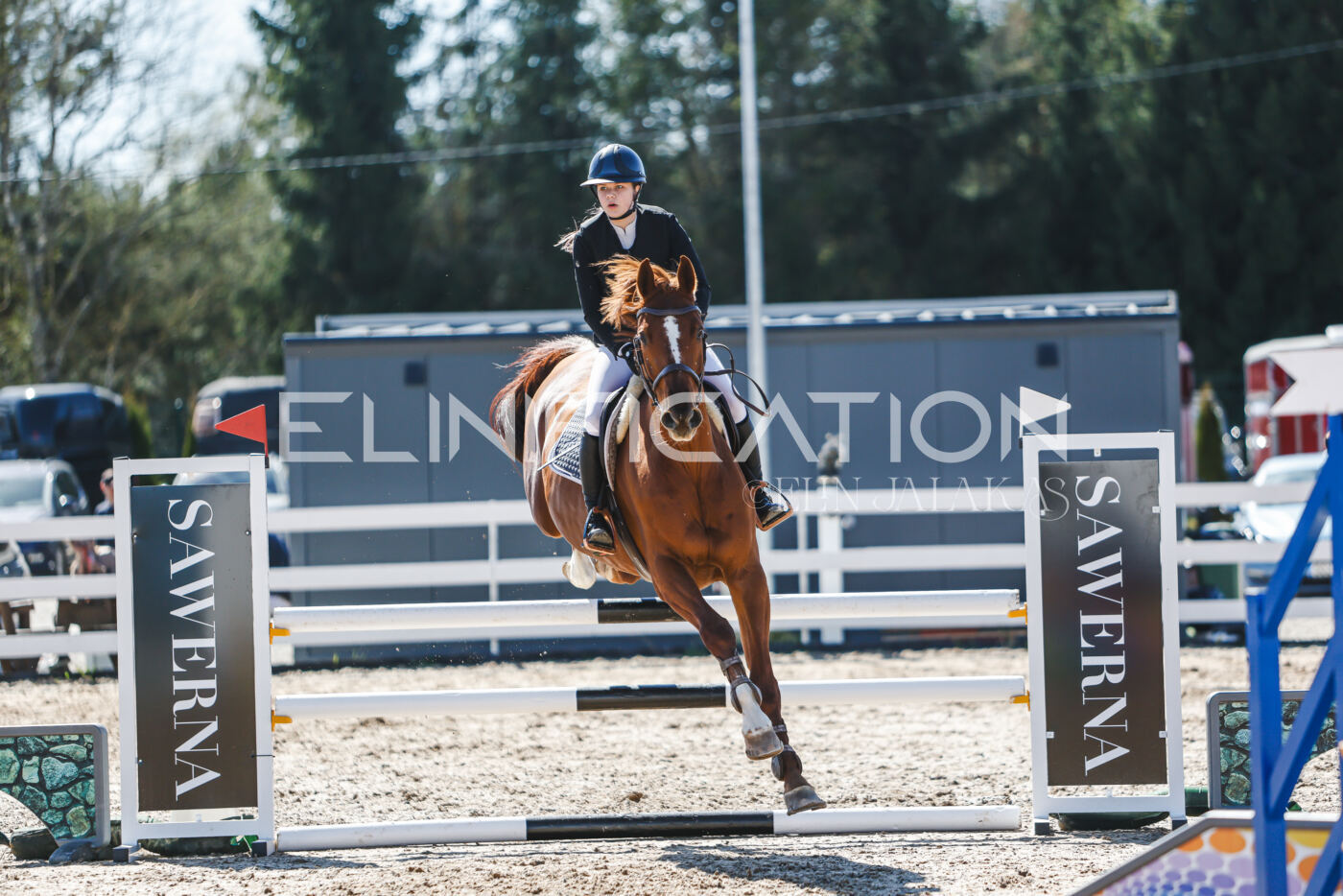 Gramina_Volber_2026_100_0947