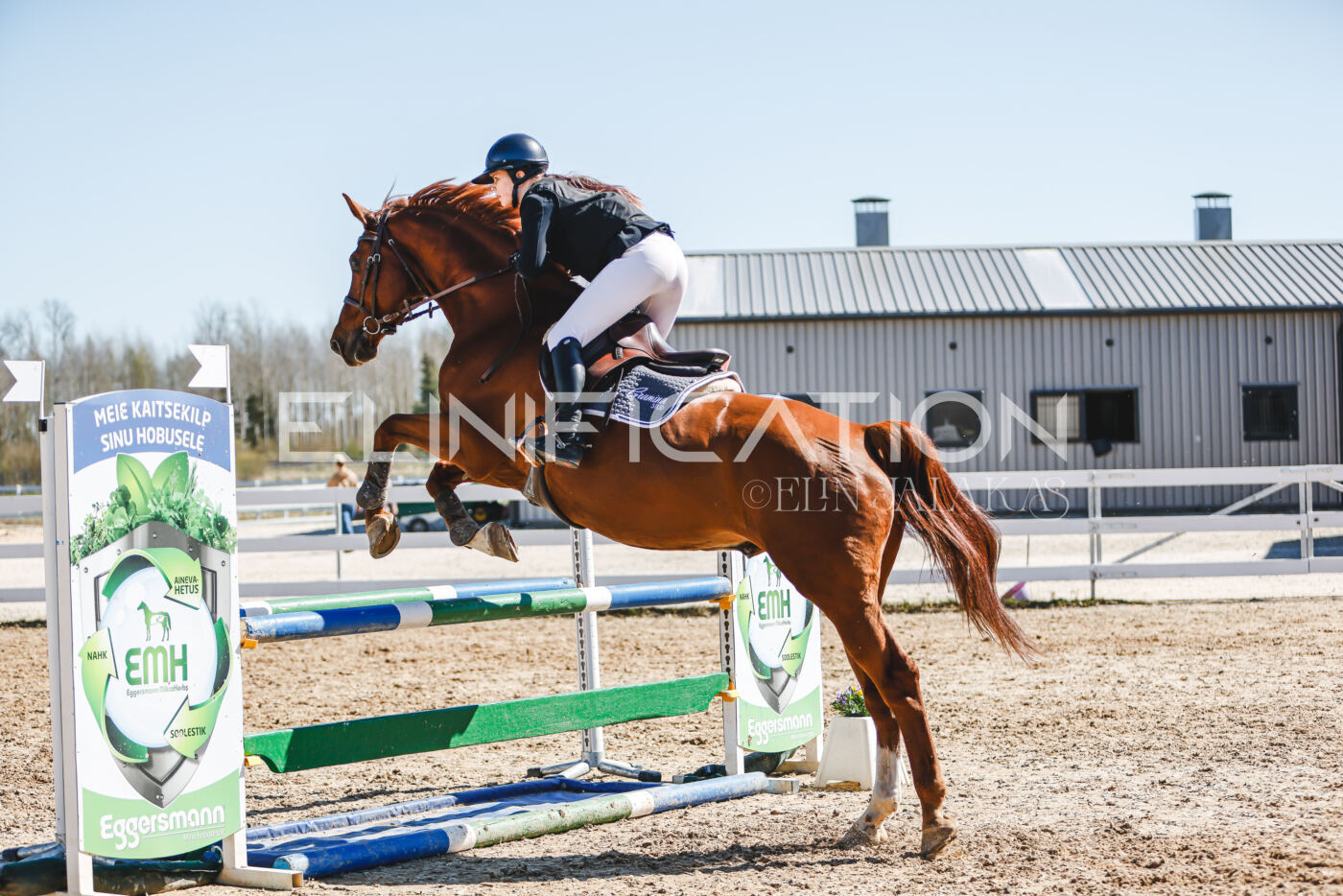 Gramina_Volber_2026_100_0948