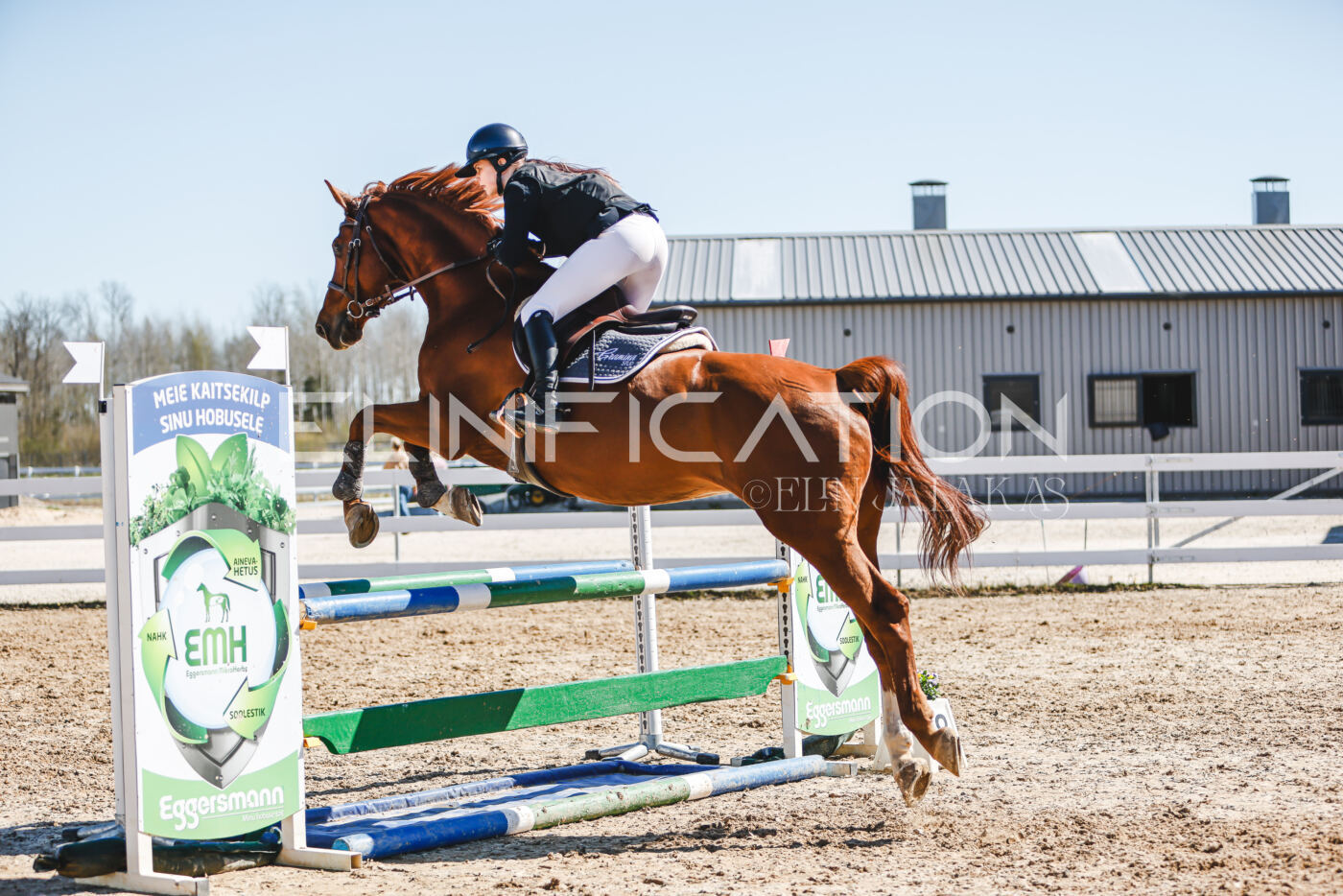 Gramina_Volber_2026_100_0949