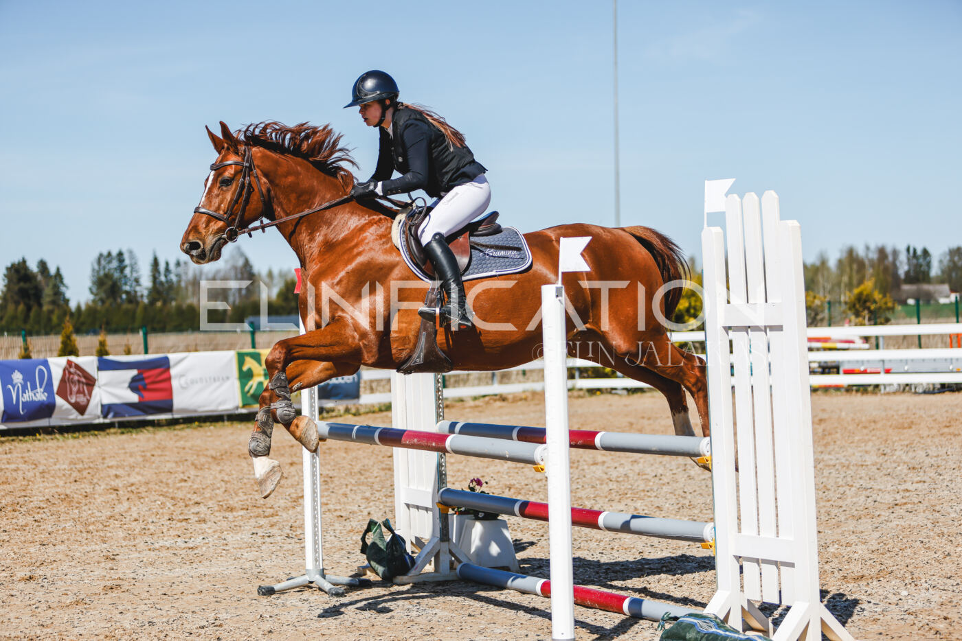 Gramina_Volber_2026_100_0952
