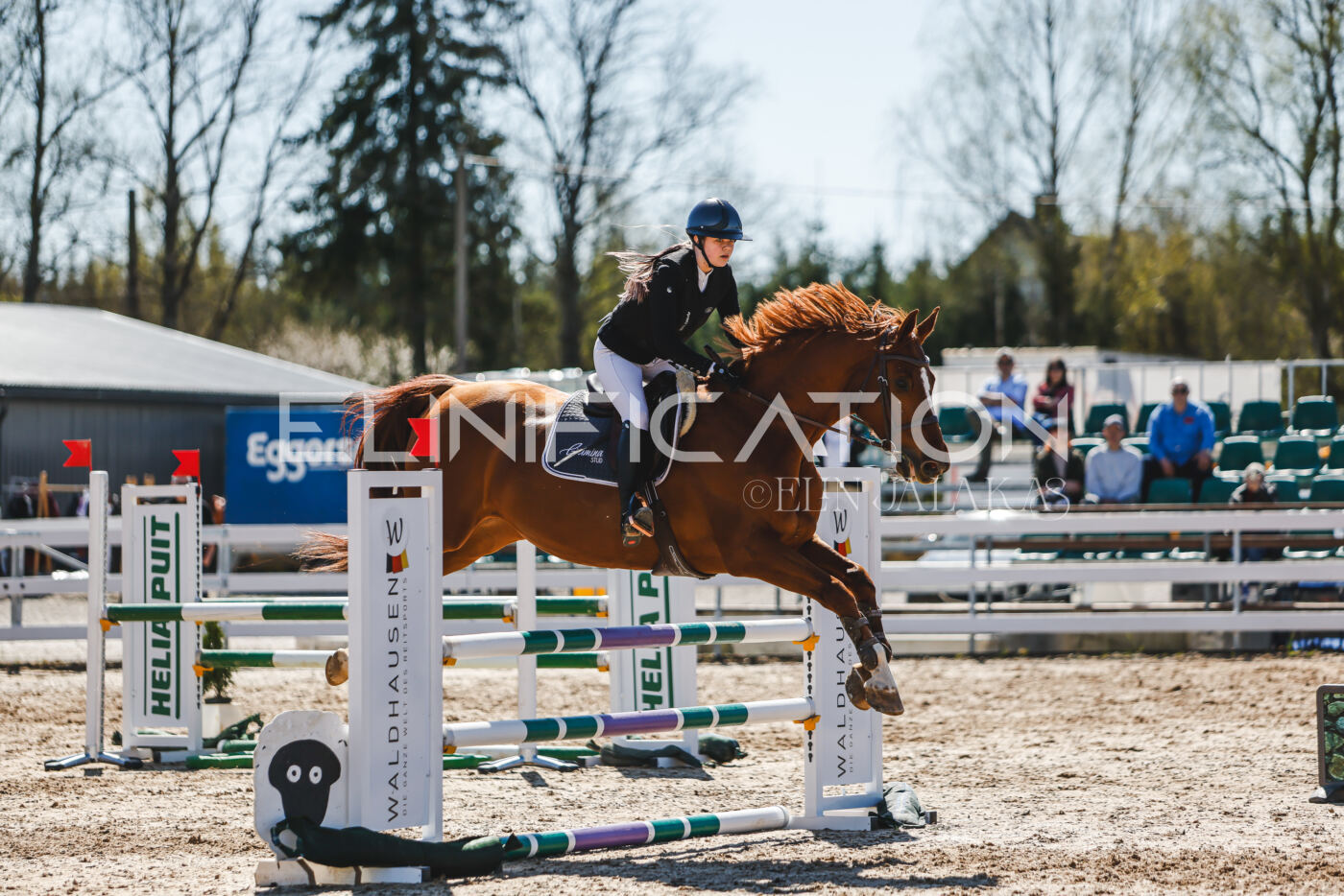 Gramina_Volber_2026_100_0958