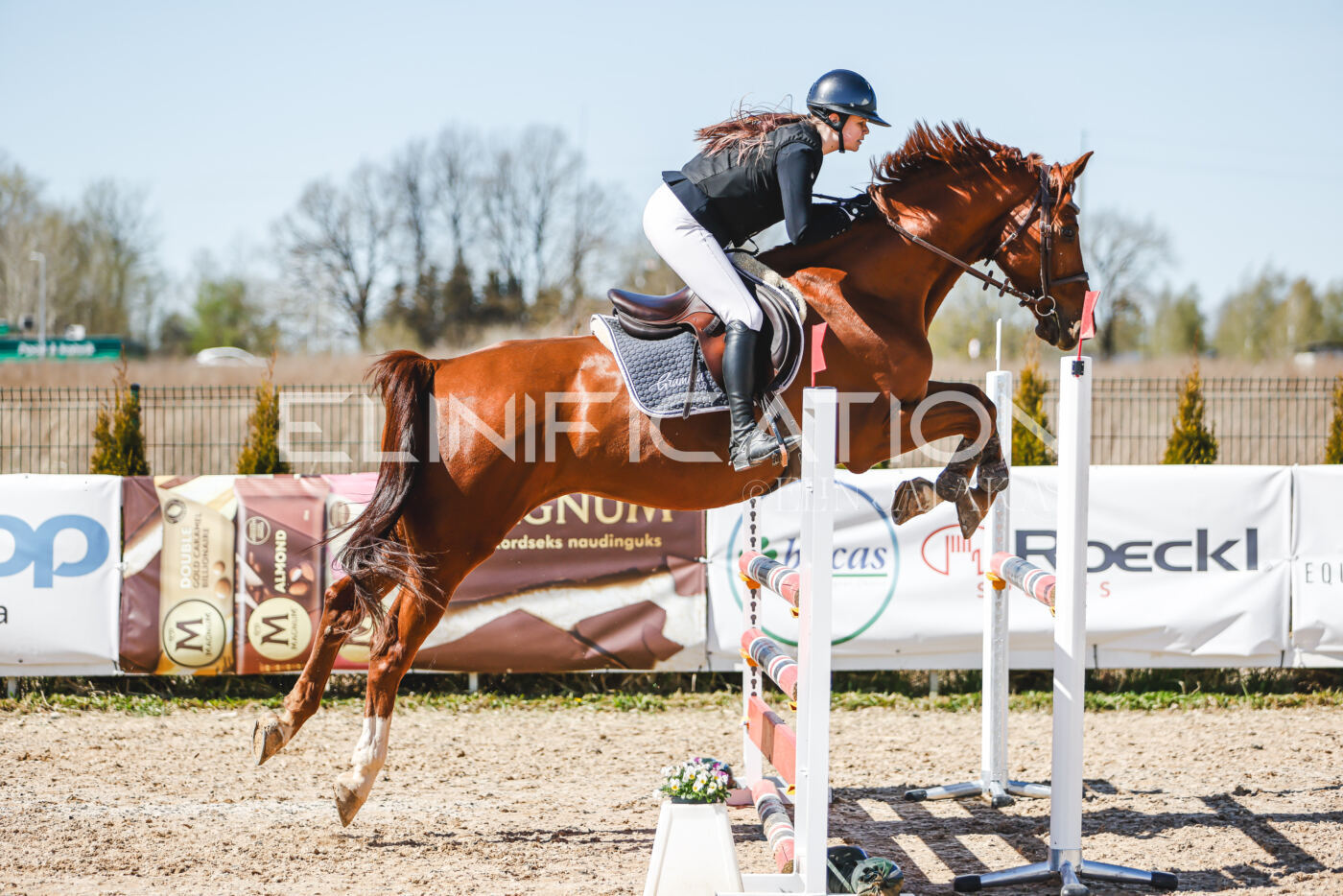 Gramina_Volber_2026_100_0959