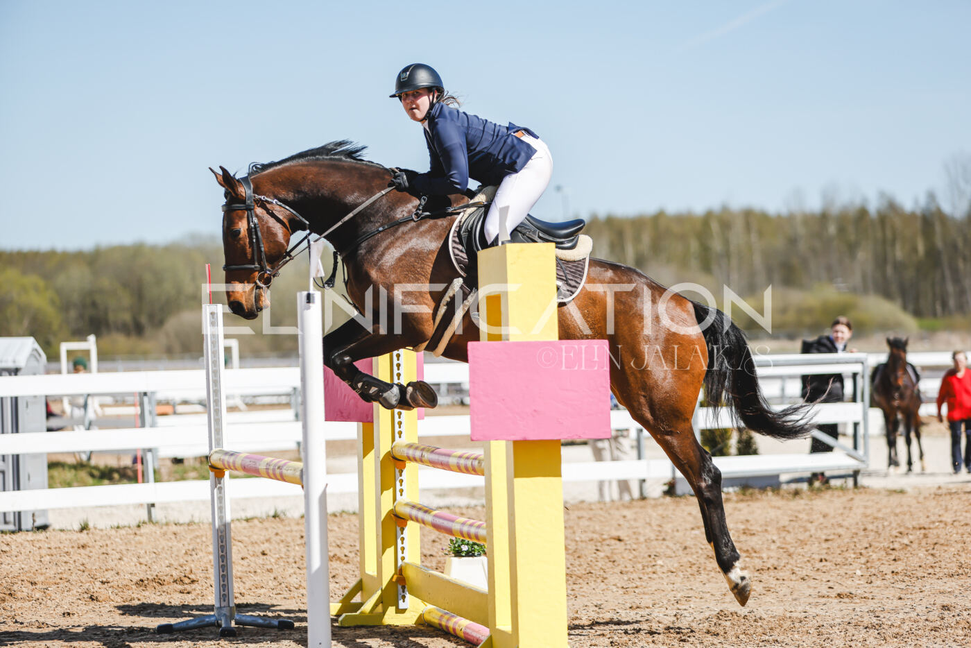 Gramina_Volber_2026_100_0971