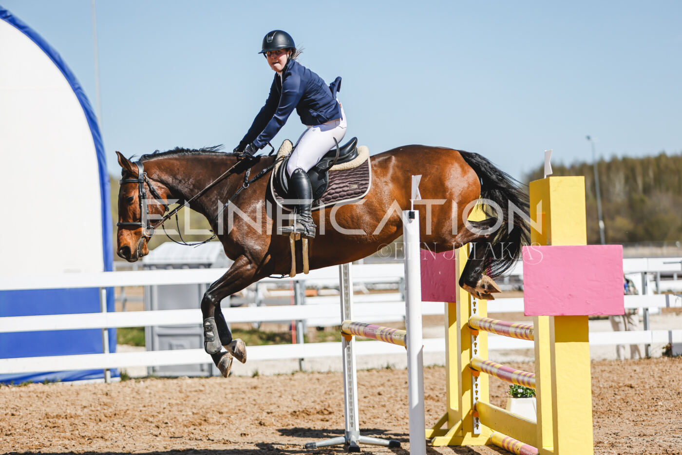 Gramina_Volber_2026_100_0976