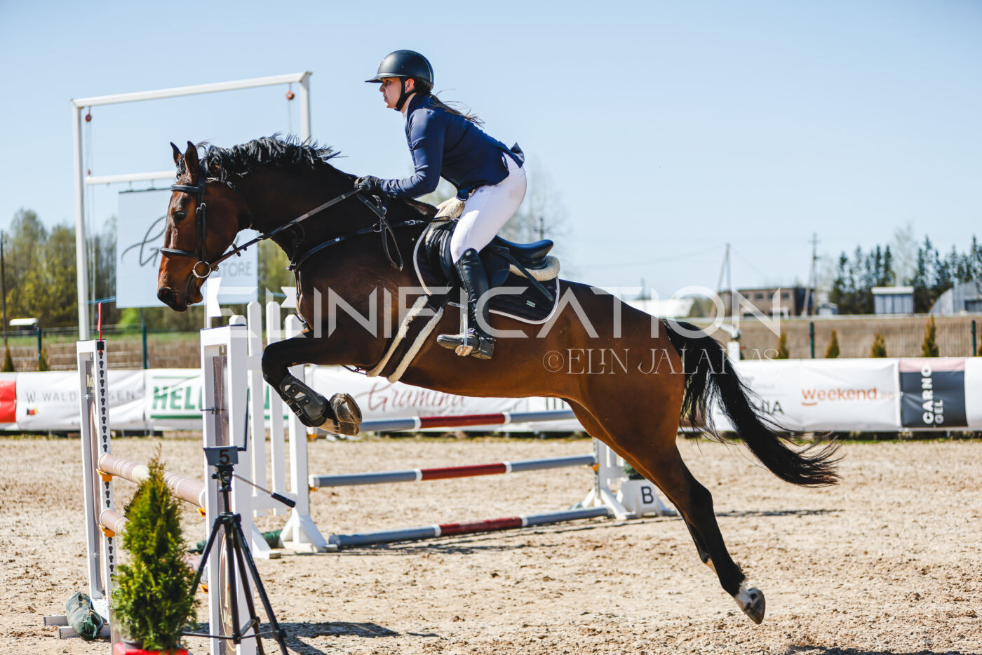 Gramina_Volber_2026_100_0977