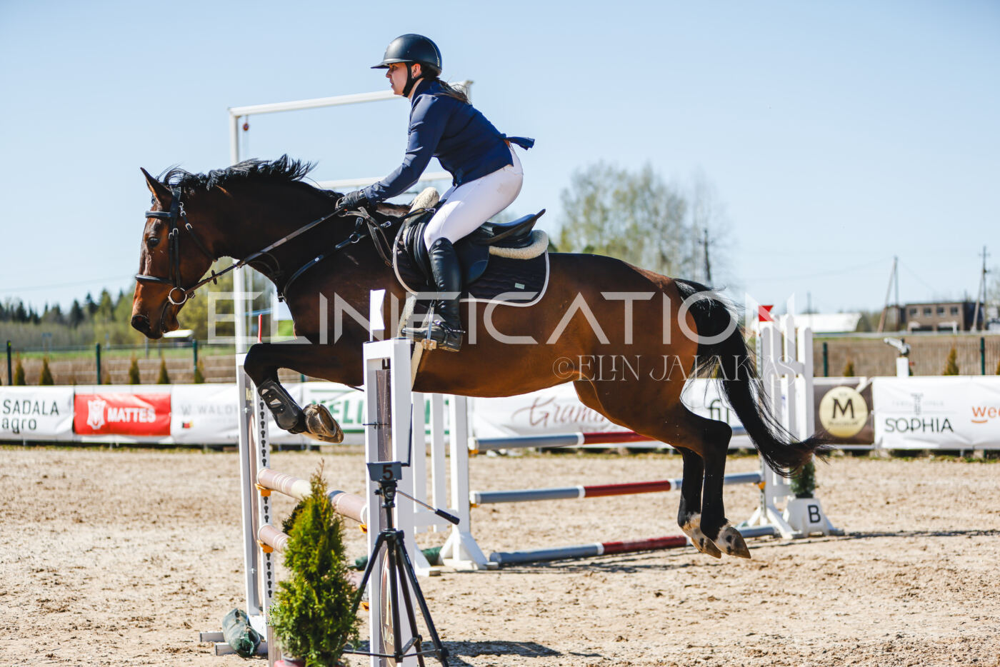 Gramina_Volber_2026_100_0979