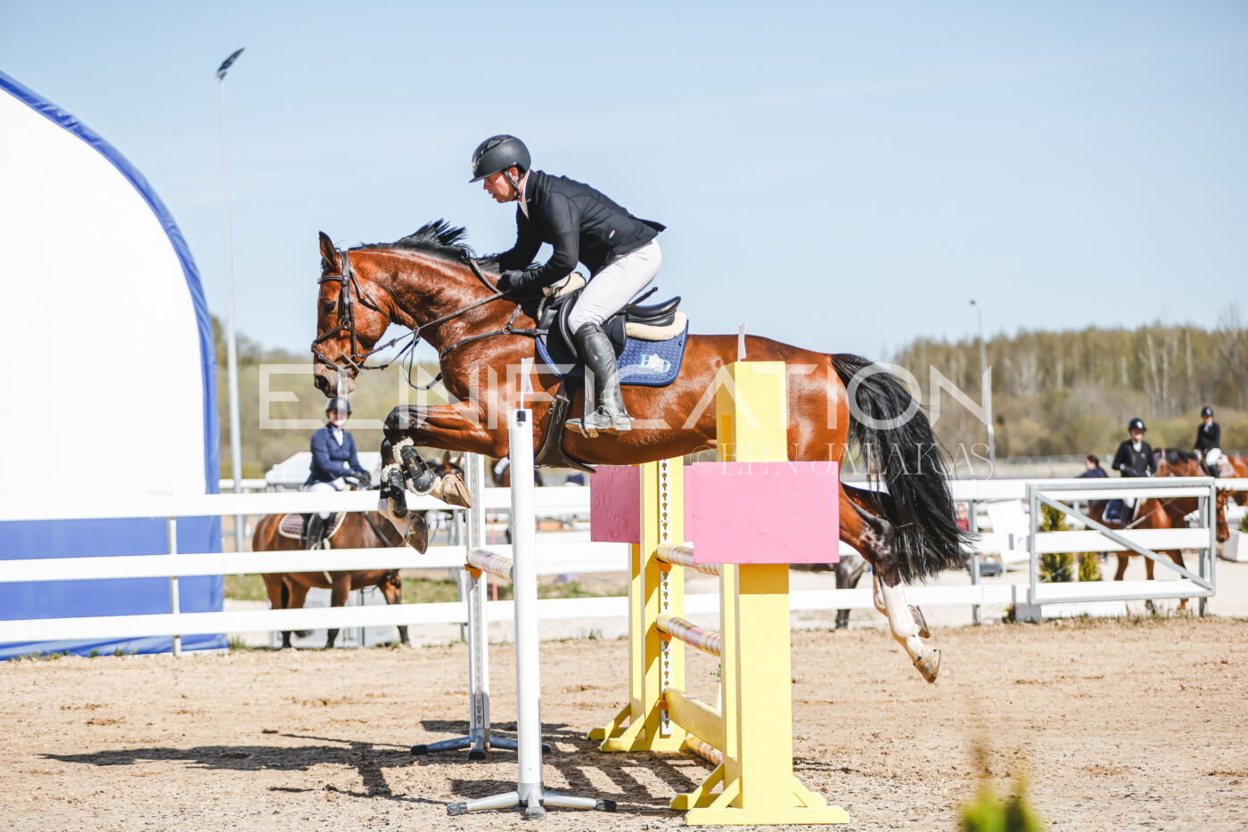Gramina_Volber_2026_110_0049