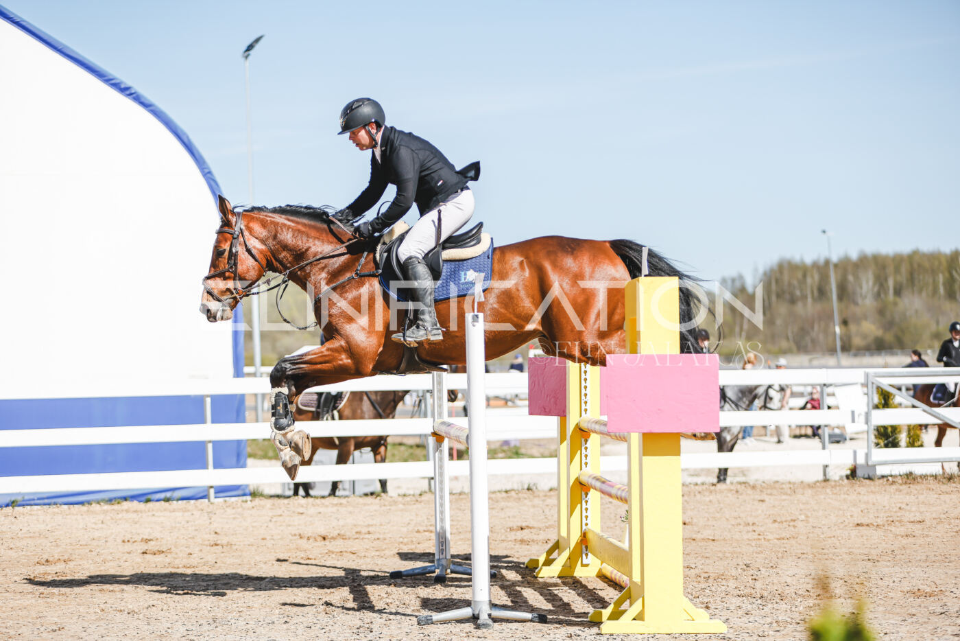 Gramina_Volber_2026_110_0051