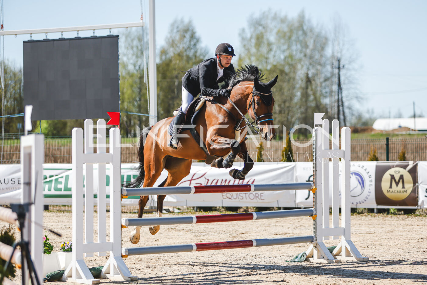 Gramina_Volber_2026_110_0092