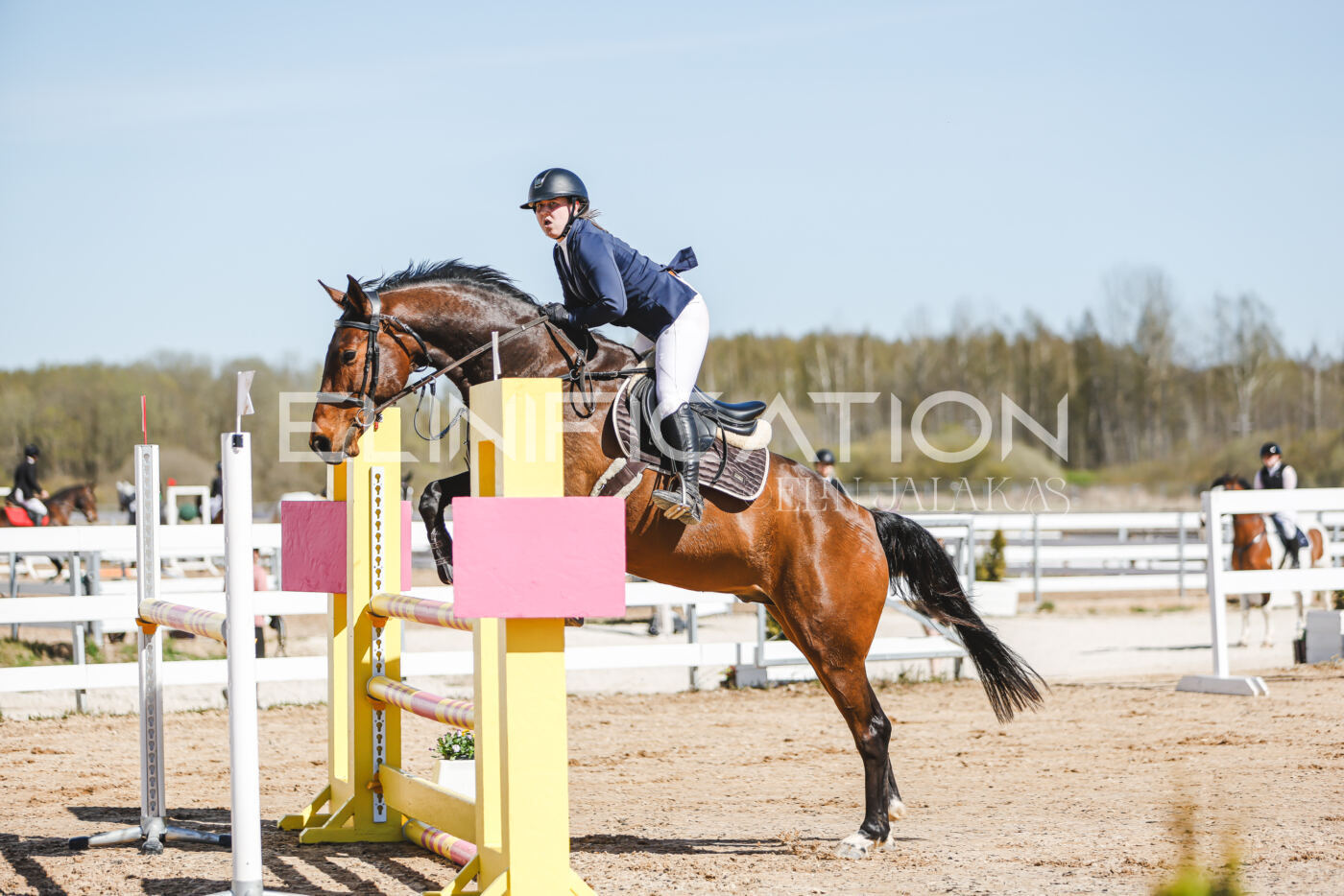 Gramina_Volber_2026_110_0114