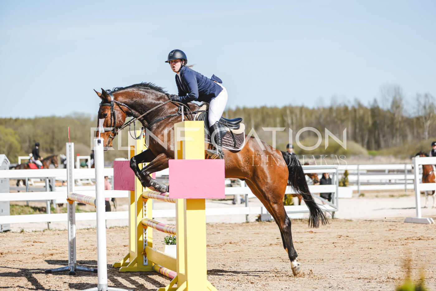 Gramina_Volber_2026_110_0115