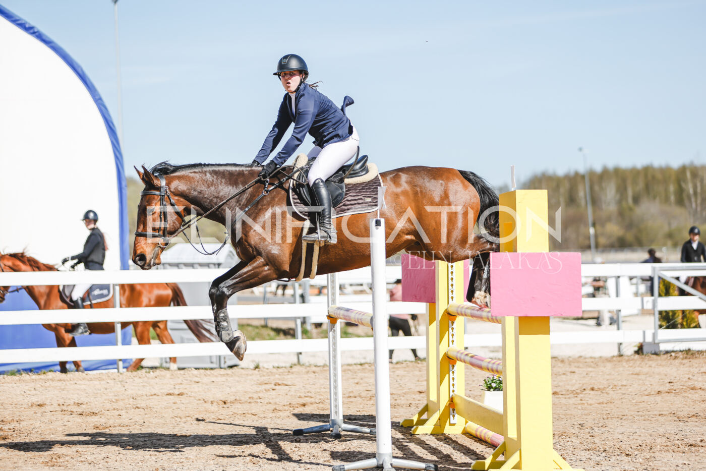 Gramina_Volber_2026_110_0120