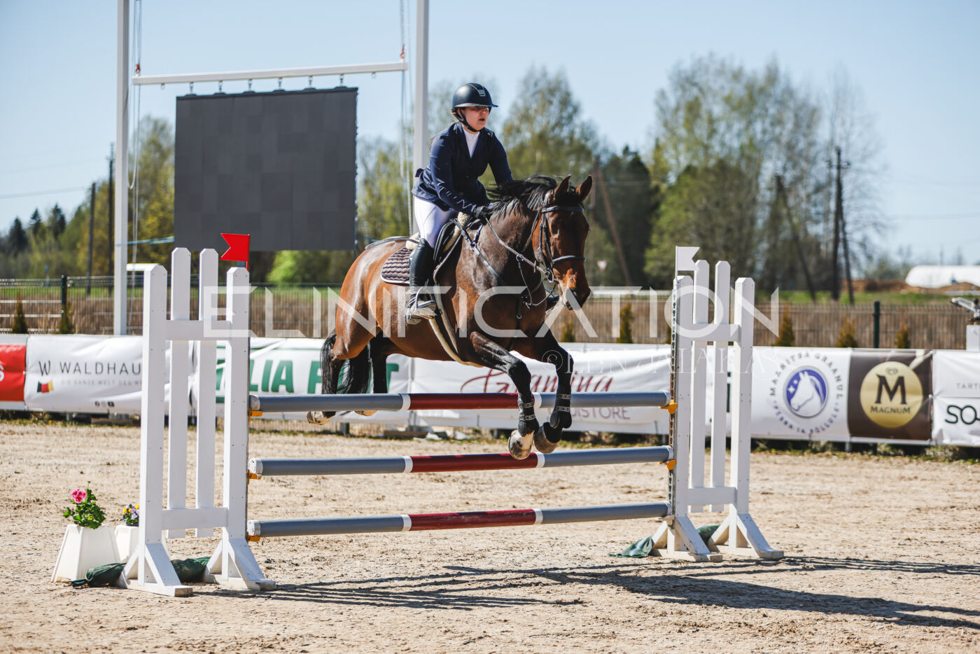Gramina_Volber_2026_110_0130