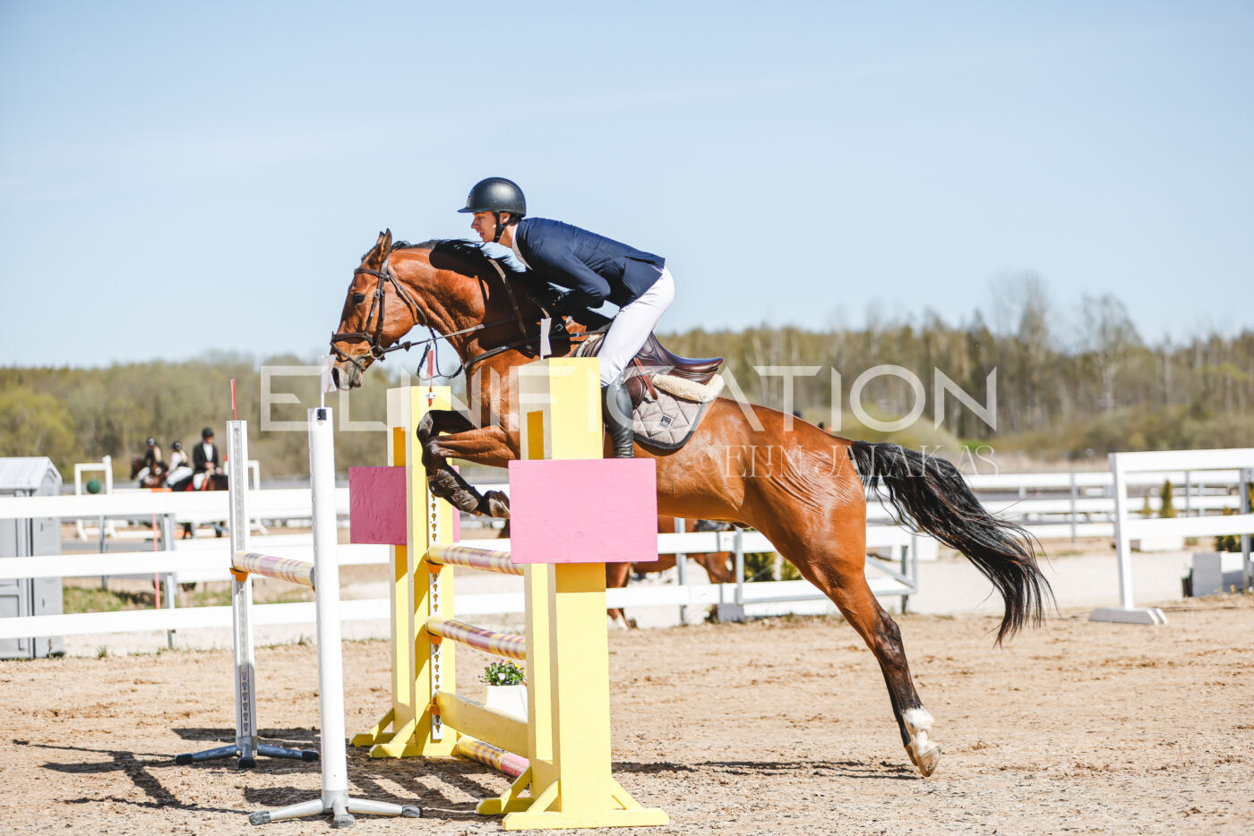 Gramina_Volber_2026_110_0152