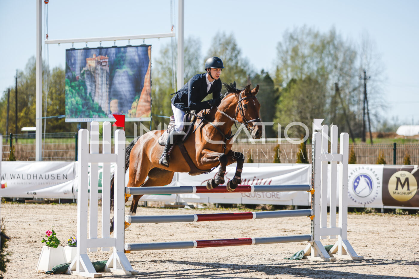 Gramina_Volber_2026_110_0164