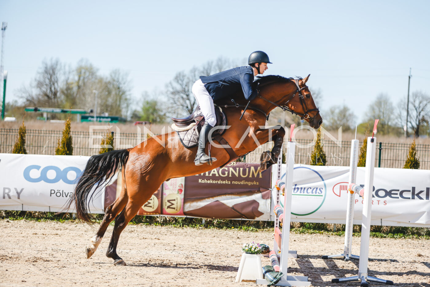 Gramina_Volber_2026_110_0187