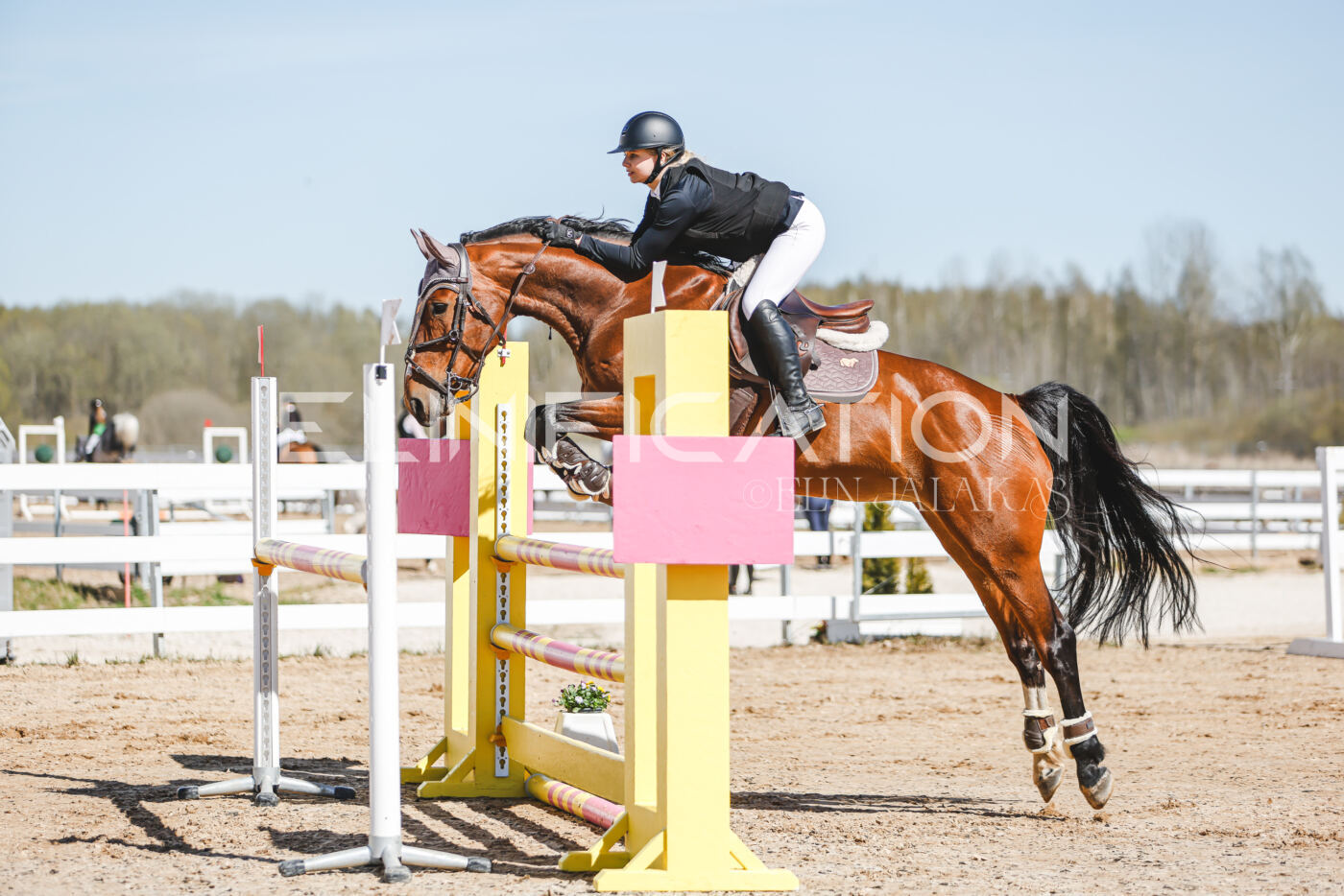 Gramina_Volber_2026_110_0200