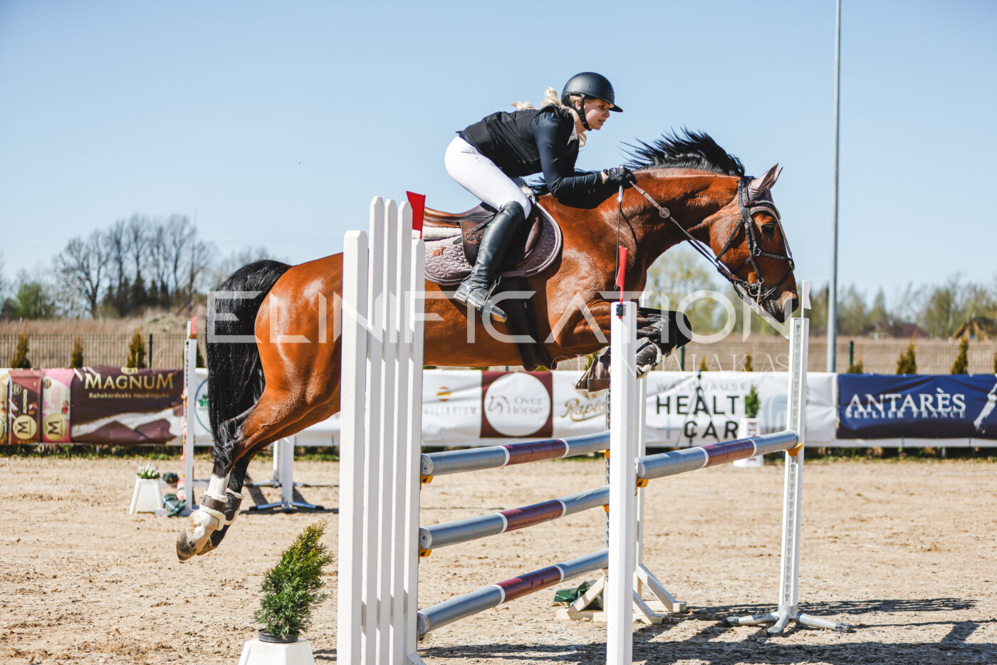 Gramina_Volber_2026_110_0219