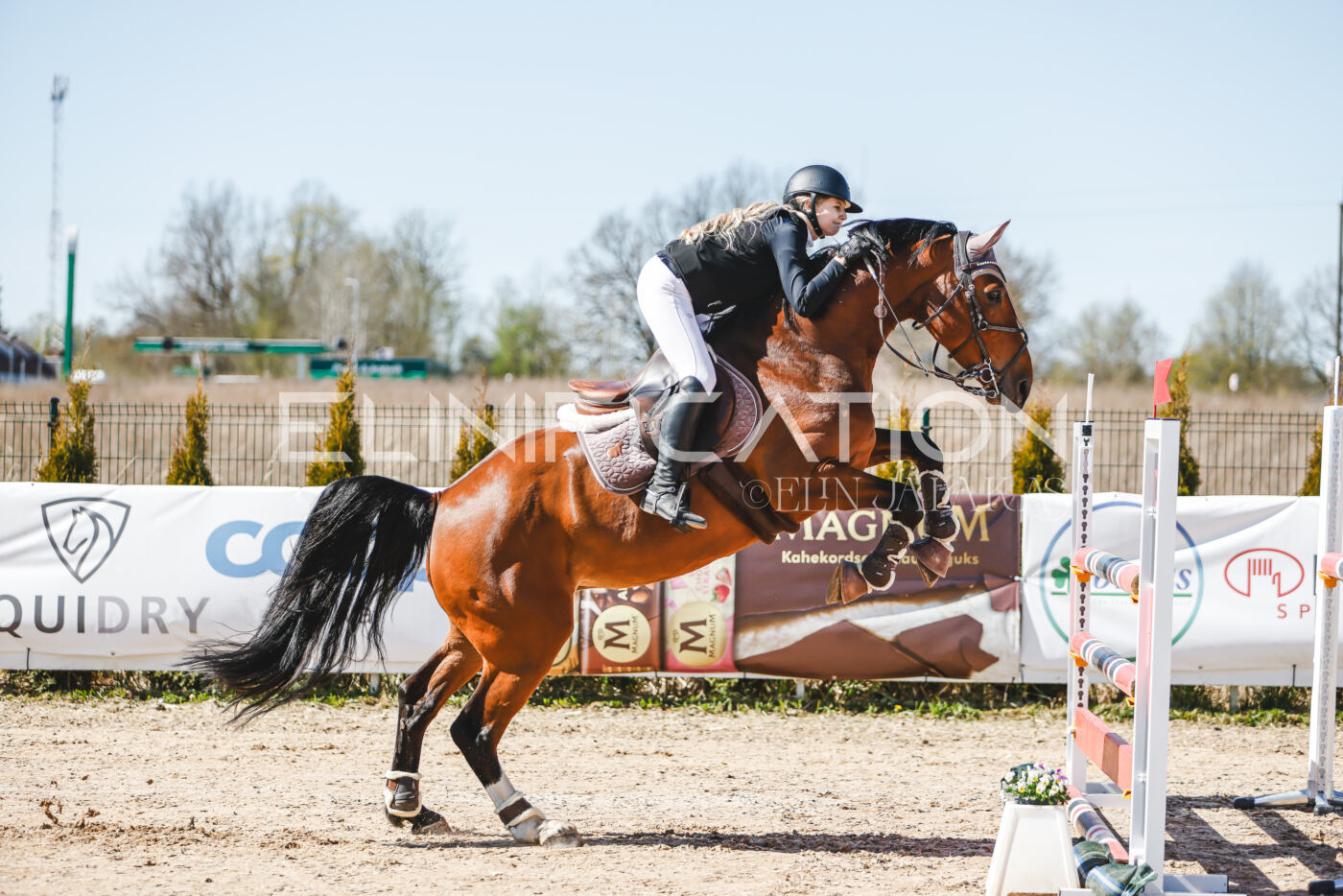 Gramina_Volber_2026_110_0235