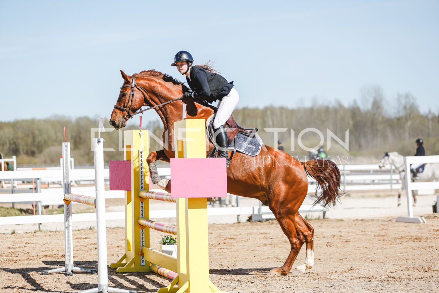 Gramina_Volber_2026_110_0248