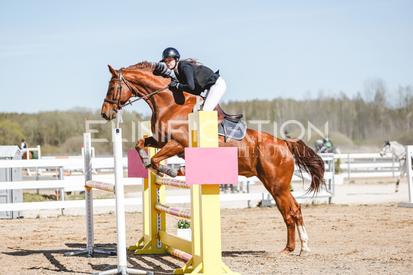 Gramina_Volber_2026_110_0249