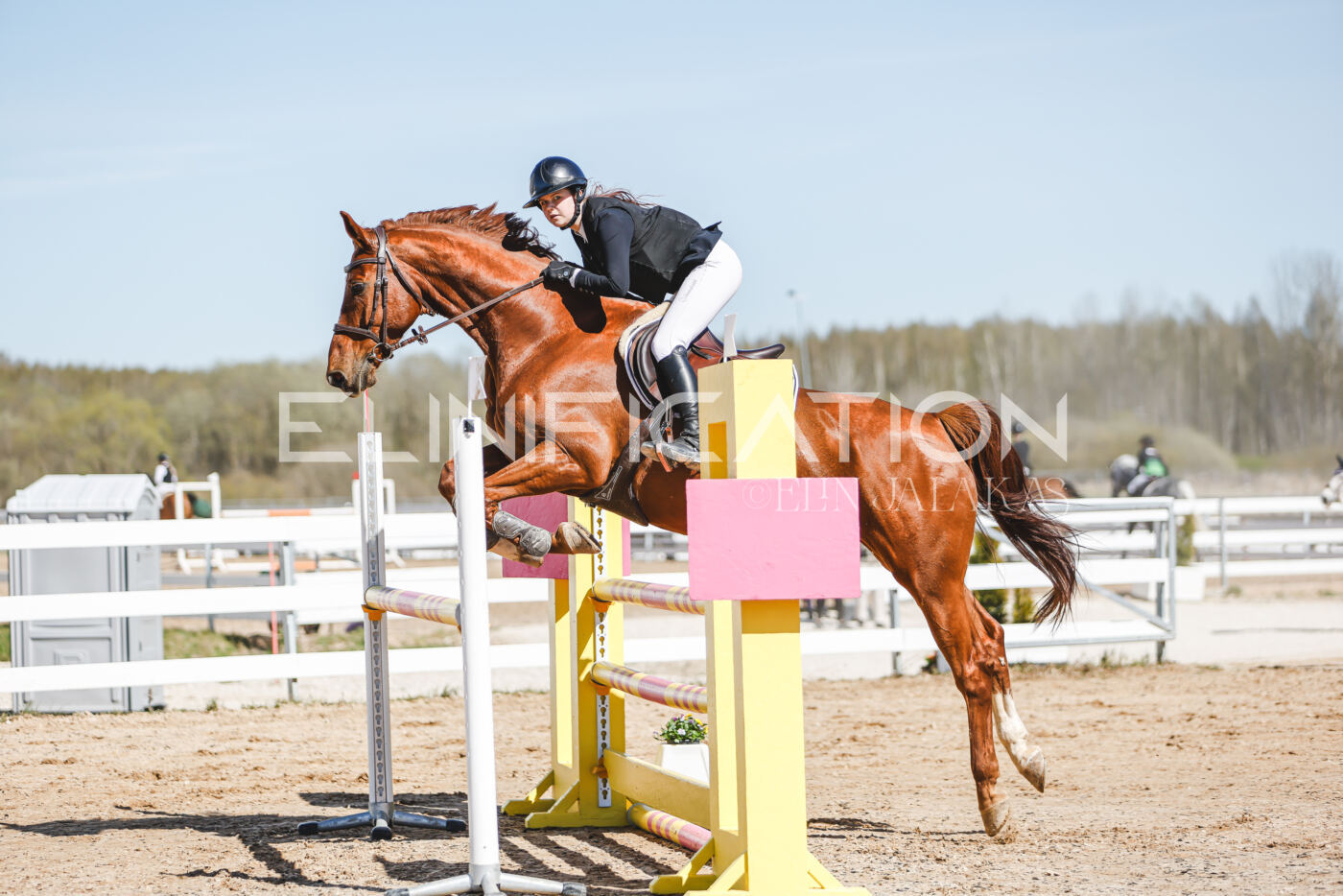 Gramina_Volber_2026_110_0250