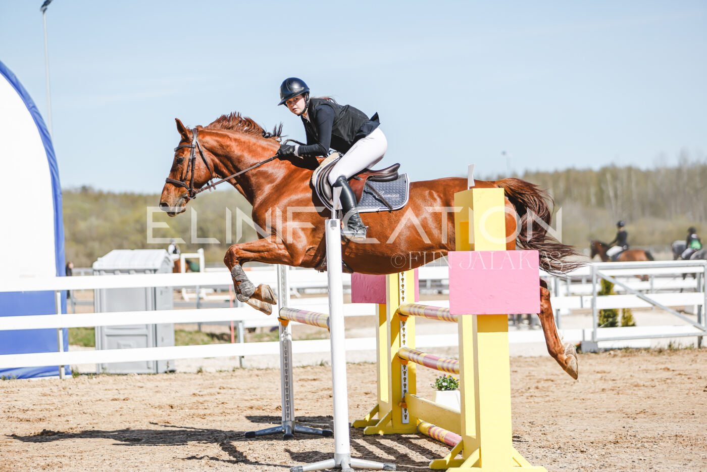 Gramina_Volber_2026_110_0252