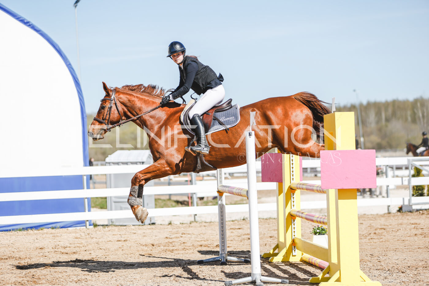 Gramina_Volber_2026_110_0254
