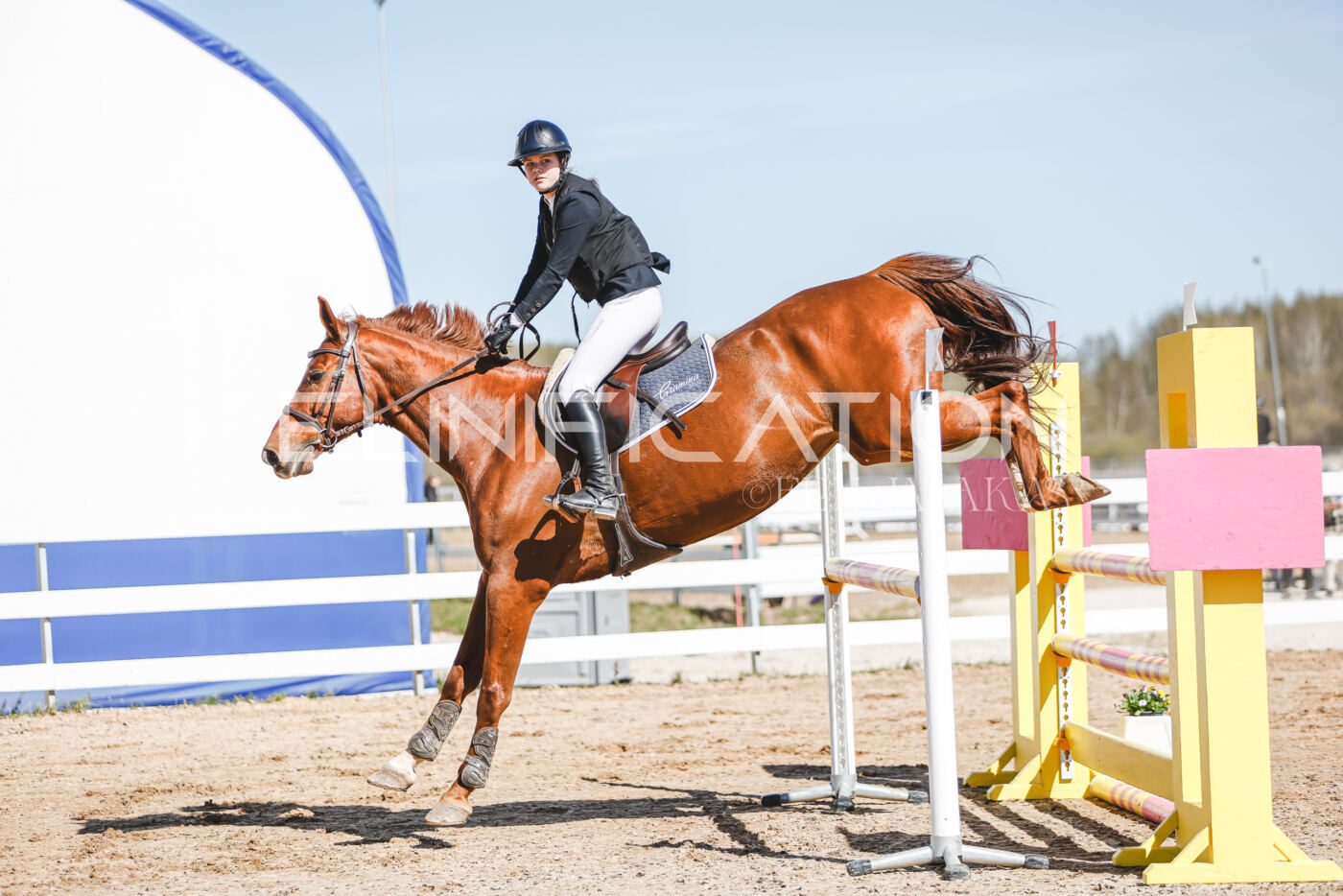 Gramina_Volber_2026_110_0256