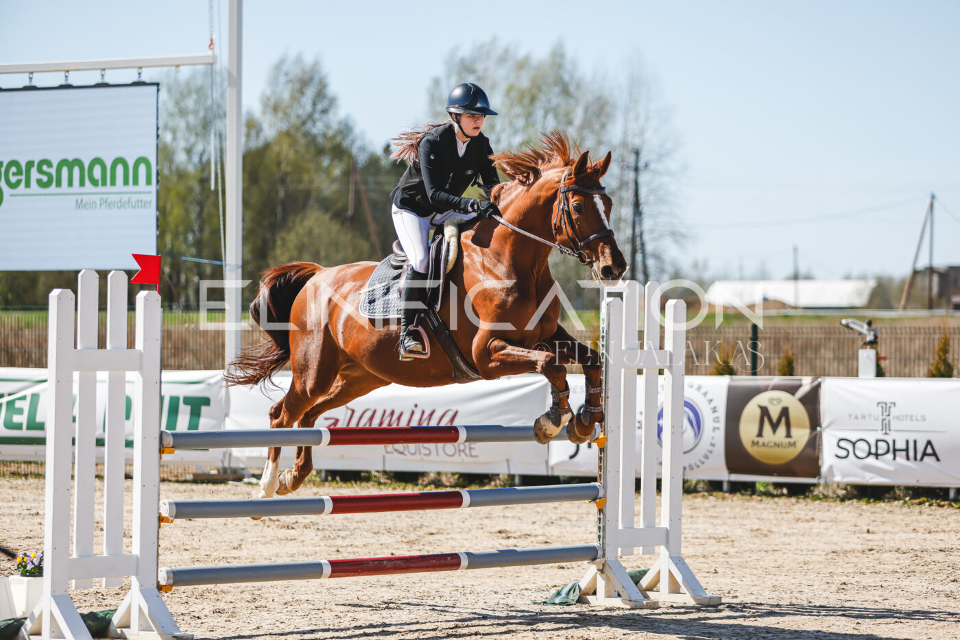 Gramina_Volber_2026_110_0264