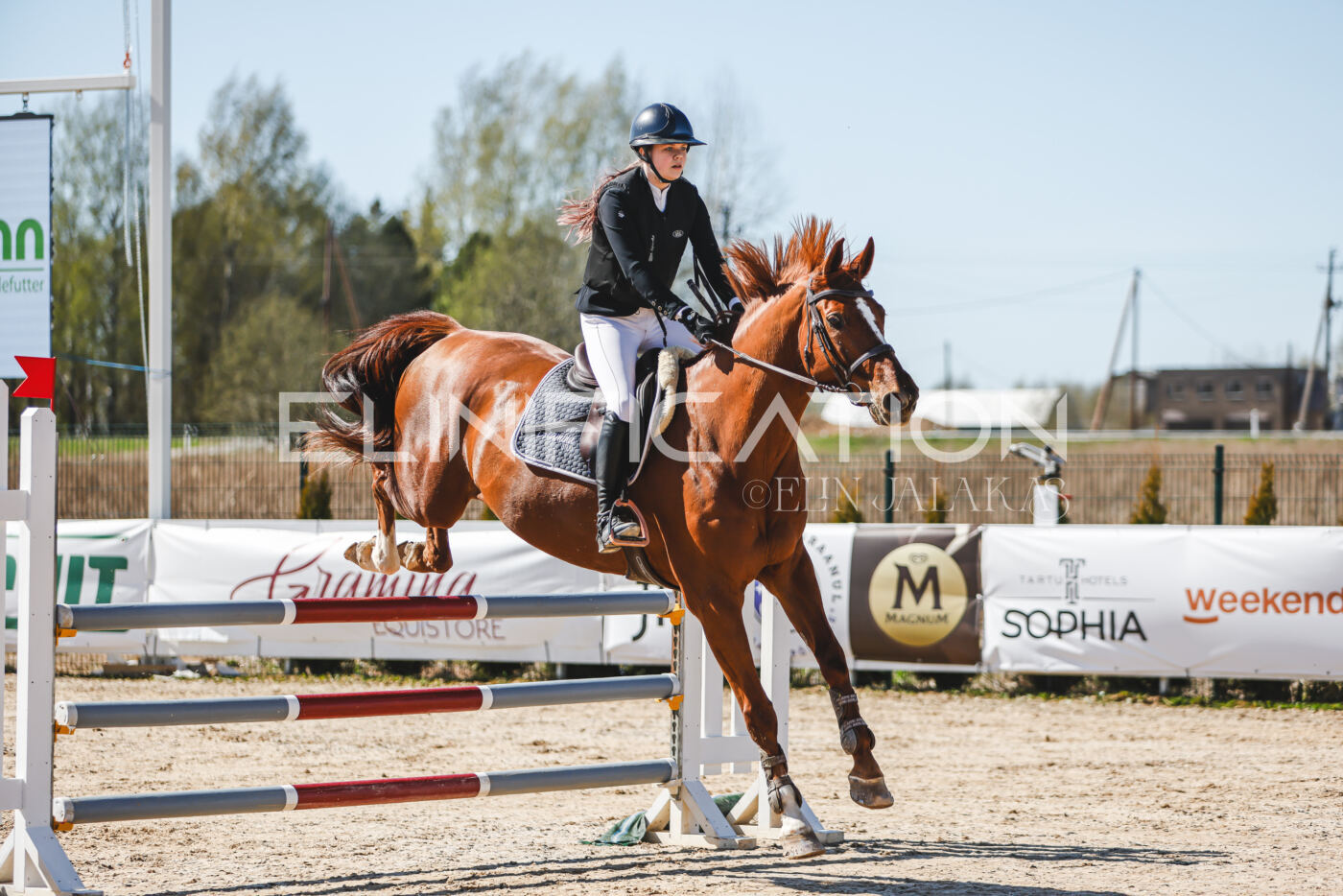 Gramina_Volber_2026_110_0267
