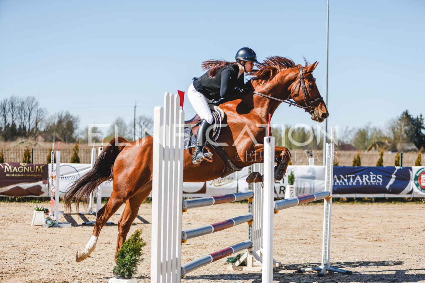 Gramina_Volber_2026_110_0269