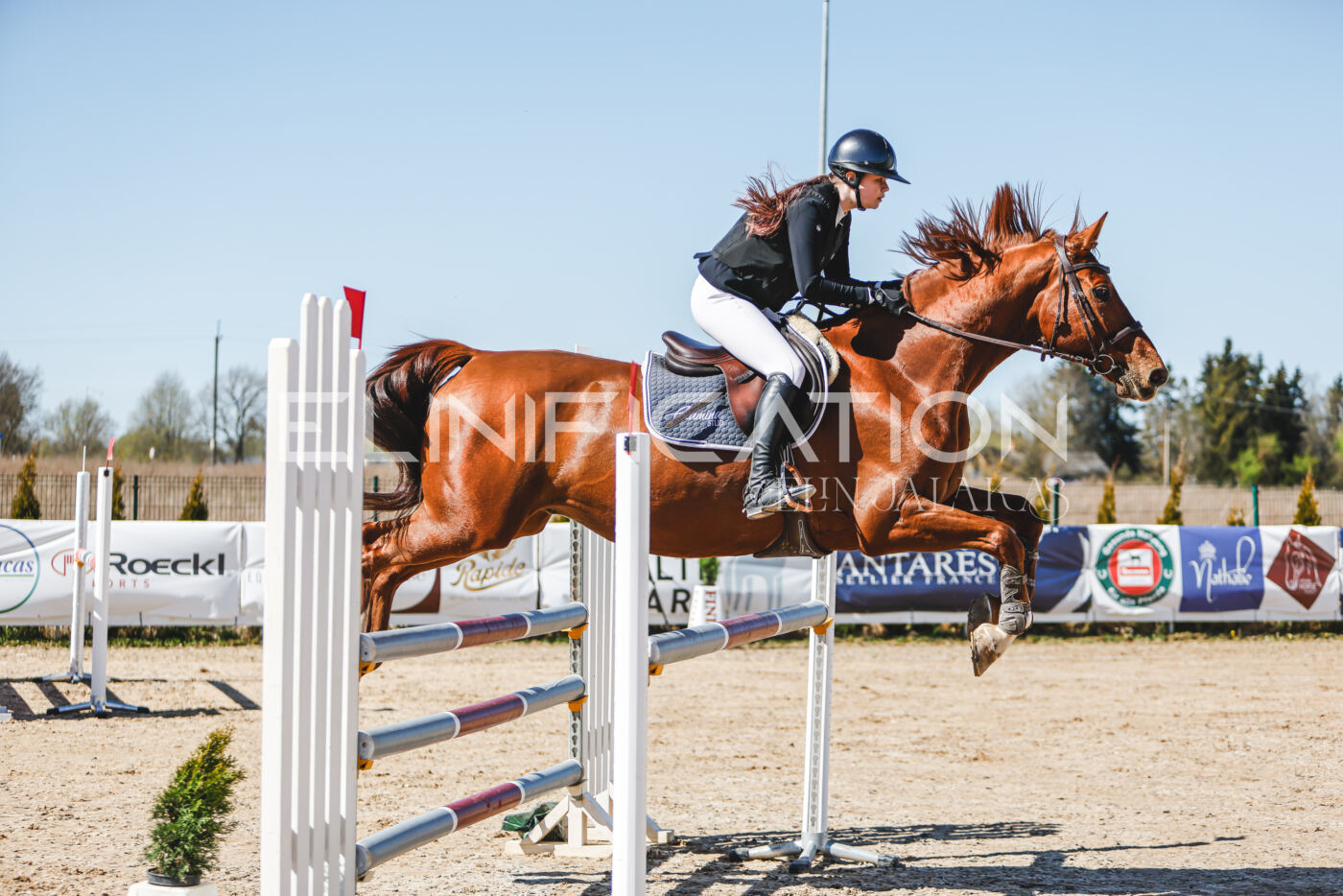 Gramina_Volber_2026_110_0272