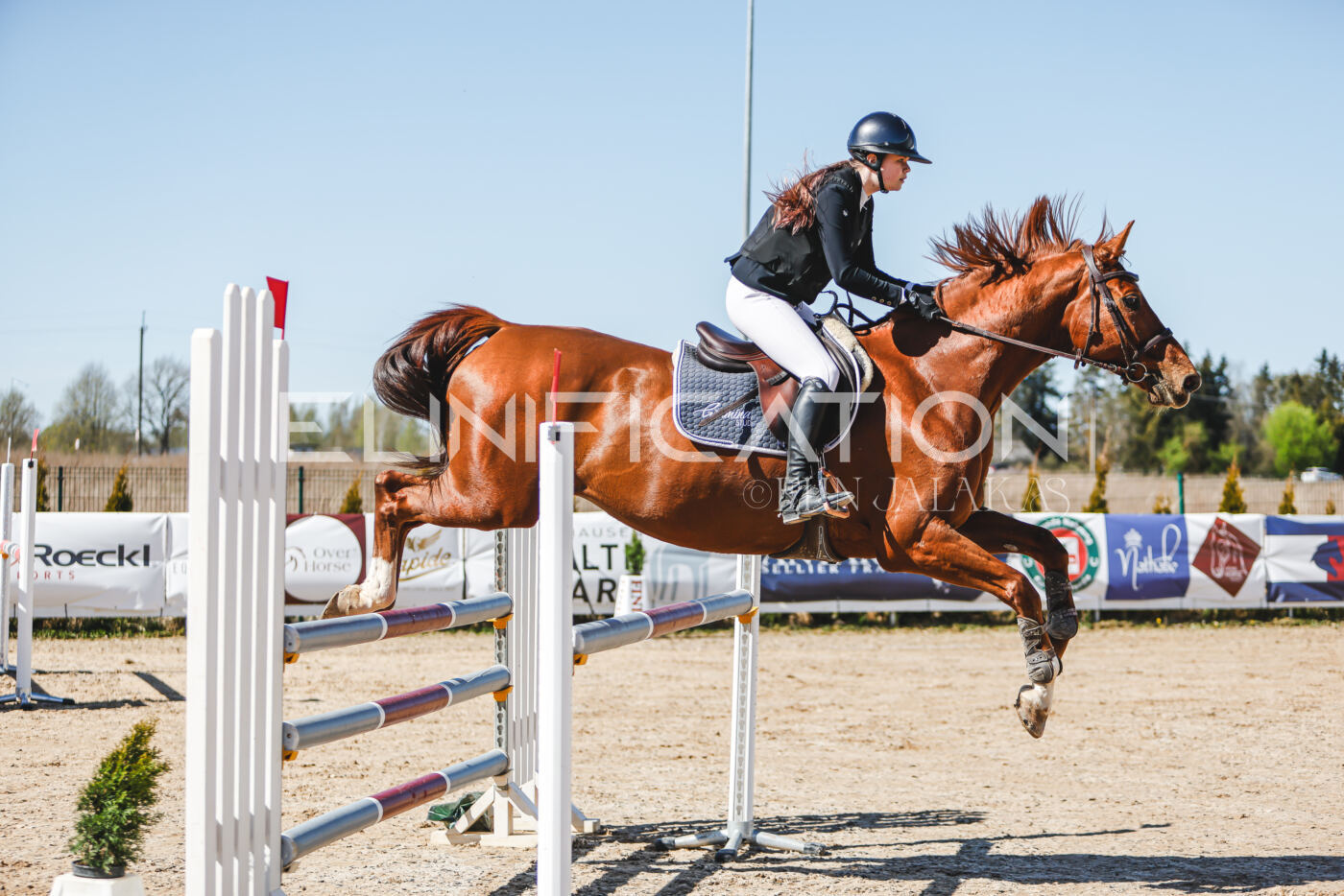 Gramina_Volber_2026_110_0273